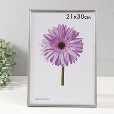 Фоторамка пластик Lida 21х30 см серебро No Brand