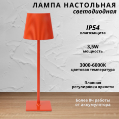 Лампа настольная светодиодная с аккумулятором FEDOTOV 3,5Вт 3000-6000К