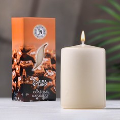 Свеча Богатство аромата Соленая карамель, 9236649, ароматическая 4x6 см, в коробке