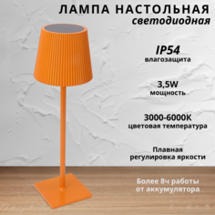 Лампа настольная Fedotov светодиодная с аккумулятором 3,5Вт 3000-6000К оранжевый