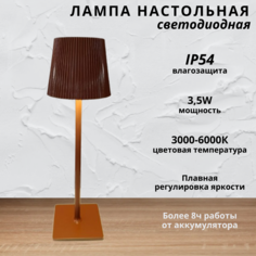 Лампа настольная светодиодная с аккумулятором FEDOTOV 3,5Вт 3000-6000К коричневый