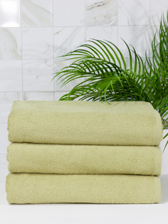 Полотенце махровое WELLNESS, СИМПЛ_3-44, 70x140