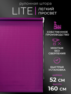 Рулонные шторы LM DЕСОR 52х160
