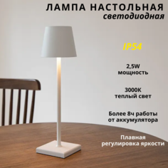 Лампа настольная Fedotov светодиодная с аккумулятором 2,5Вт 3000К белая