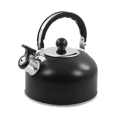 Чайник со свистком HOME ELEMENT HE-WK1602 черный матовый