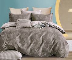 Комплект постельного белья РОЗОВЫЕ СНЫ СК-553-макси-50-160