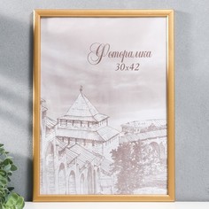 Фоторамка сосна с19 золото 30х42 см (пластиковый экран) Miram