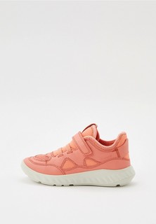 Кроссовки Ecco