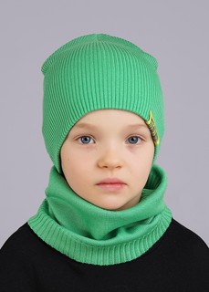 Шапка Clever