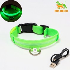 Ошейник с подсветкой, зарядка от usb, размер xs, ош 28-38 см, 3 режима, зеленый Пижон