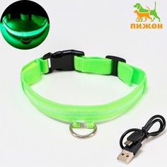 Ошейник с подсветкой, зарядка от usb, размер l, ош 41-52 см, 3 режима, зеленый Пижон