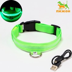 Ошейник с подсветкой, зарядка от usb, размер m, ош 37-46 см, 3 режима, зеленый Пижон