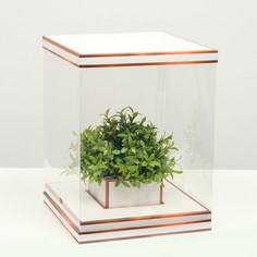 Коробка для цветов с вазой и pvc окнами складная, бронза, 23 х 30 х 23 см Upak Land