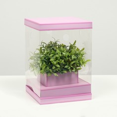 Коробка для цветов с вазой и pvc окнами складная, сиреневый, 16 х 23 х 16 см Upak Land