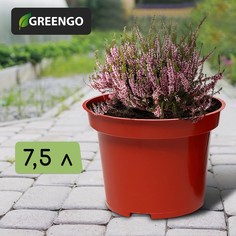 Горшок для рассады, 7,5 л, d = 25,5 см, h = 20,5 см, терракот, greengo