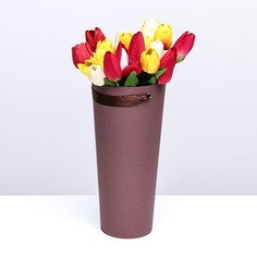 Переноска конус под цветы, шоколад 10 х 14 х 30 см No Brand