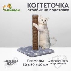 Когтеточка Пижон