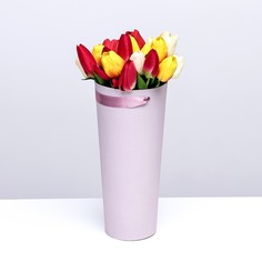 Переноска конус под цветы, пыльная роза 10 х 14 х 30 см No Brand