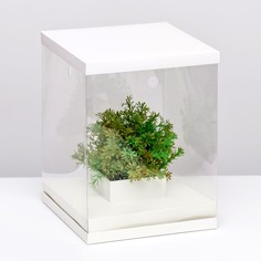 Коробка для цветов с вазой и pvc окнами, складная, 23 х 30 х 23 см, белый Upak Land
