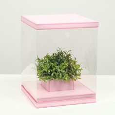 Коробка для цветов с вазой и pvc окнами складная, розовый, 23 х 30 х 23 см Upak Land