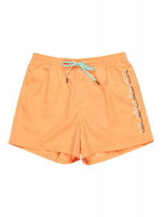 Плавательные Шорты QUIKSILVER Behind waves