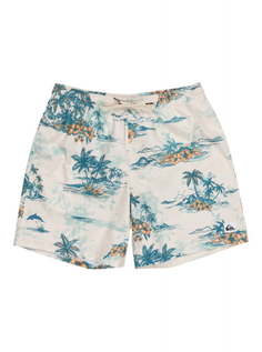 Плавательные Шорты QUIKSILVER Long man hill valley