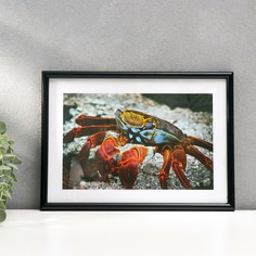 Фоторамка формат а4 21х30 см 45-n (ф) черная (пластиковый экран) No Brand