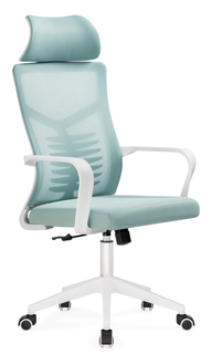 Компьютерное кресло Woodville Montana blue / white