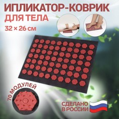 Ипликатор-коврик ONLITOP, 70 модулей, тёмно-серый, розовый 32x26 см