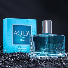 Туалетная вода мужская Aqua Blue, 100 мл Дельта Парфюм