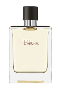 Вода туалетная Hermes Terre для мужчин, 100 мл