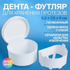 Контейнер для хранения протезов ONLITOP микс цветов 5,5х7,5х9 см