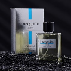 Туалетная вода мужская Art Parfum Incognito United 100 мл АРТ ПАРФЮМ