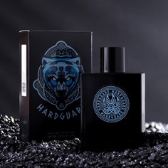 Туалетная вода мужская City Parfum Wild Hardguard 100 мл