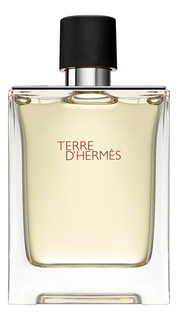 Туалетная вода мужская Hermes Terre DHermes Pour Homme 100 мл