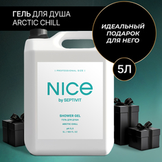 Гель для душа Nice by Septivit Arctic Chill 5л