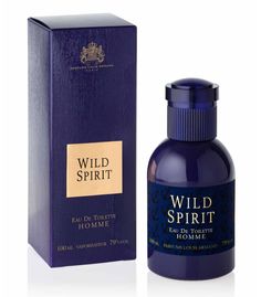 Туалетная вода мужская Parfums Eternel Wild Spirit 100 мл