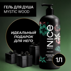 Гель для душа NICE by Septivit для мужчин Mystic wood 1л