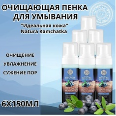 Очищающая пенка для умывания Natura Siberica Идеальная кожа 150 мл 6 шт