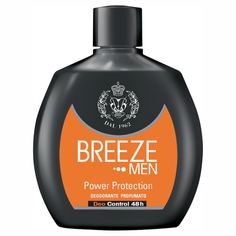 Дезодорант мужской Breeze парфюмированный Power Protection, 100 мл