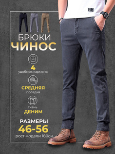 Брюки мужские Modniki 2253013 серые 2XL