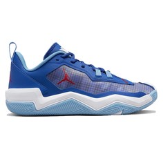 Спортивные кроссовки мужские Jordan DO7193-400 синие 16 US