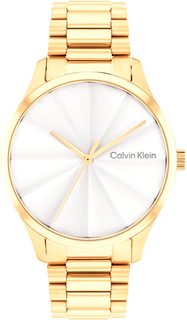 Наручные часы мужские Calvin Klein 25200232