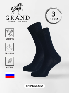 Комплект носков мужских Гранд ZB67 синих 25, 3 пары
