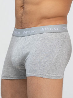 Трусы мужские Opium R07 серые 4XL