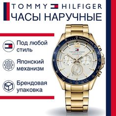 Наручные часы мужские Tommy Hilfiger 1791121