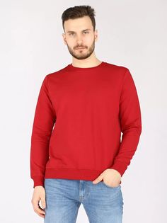 Свитшот мужской A passion play SQ69018 бордовый L