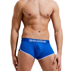 Трусы мужские GAUVINE 3007 синие M