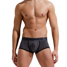 Трусы мужские GAUVINE 3004 серые M