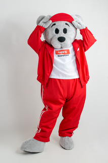 Ростовая кукла унисекс Медведь Mascot Costume ВиГ2 серая 44-52 RU